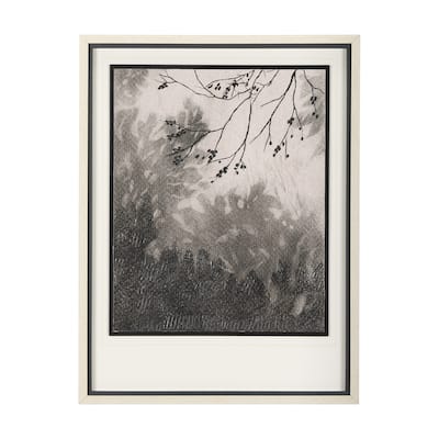 Leafy Shade II Framed Art Print