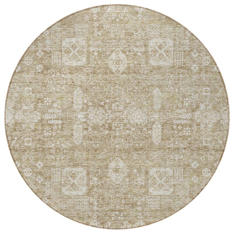 HomeRoots Oriental Transitional Rectangle Outdoor Rug