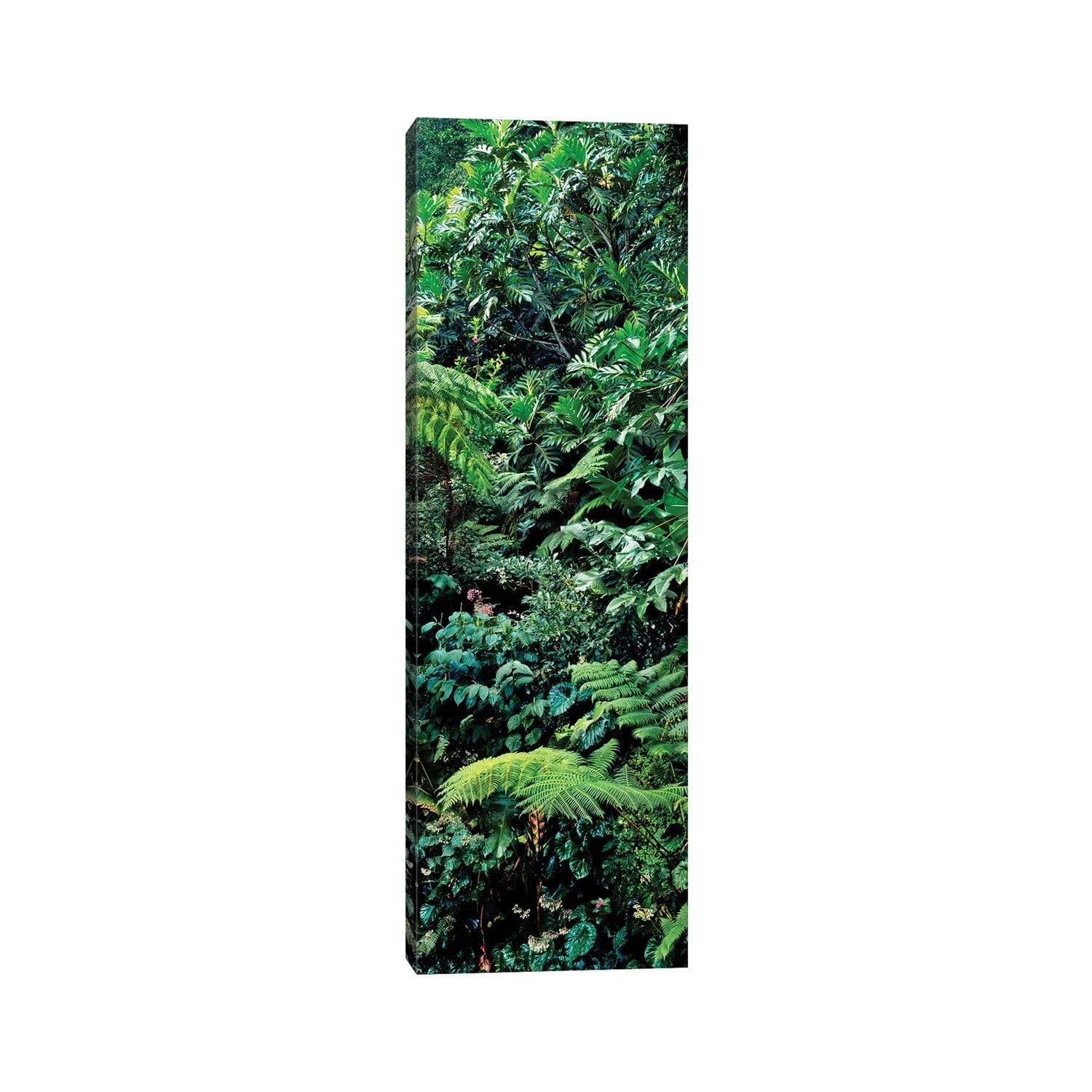 product-thumb