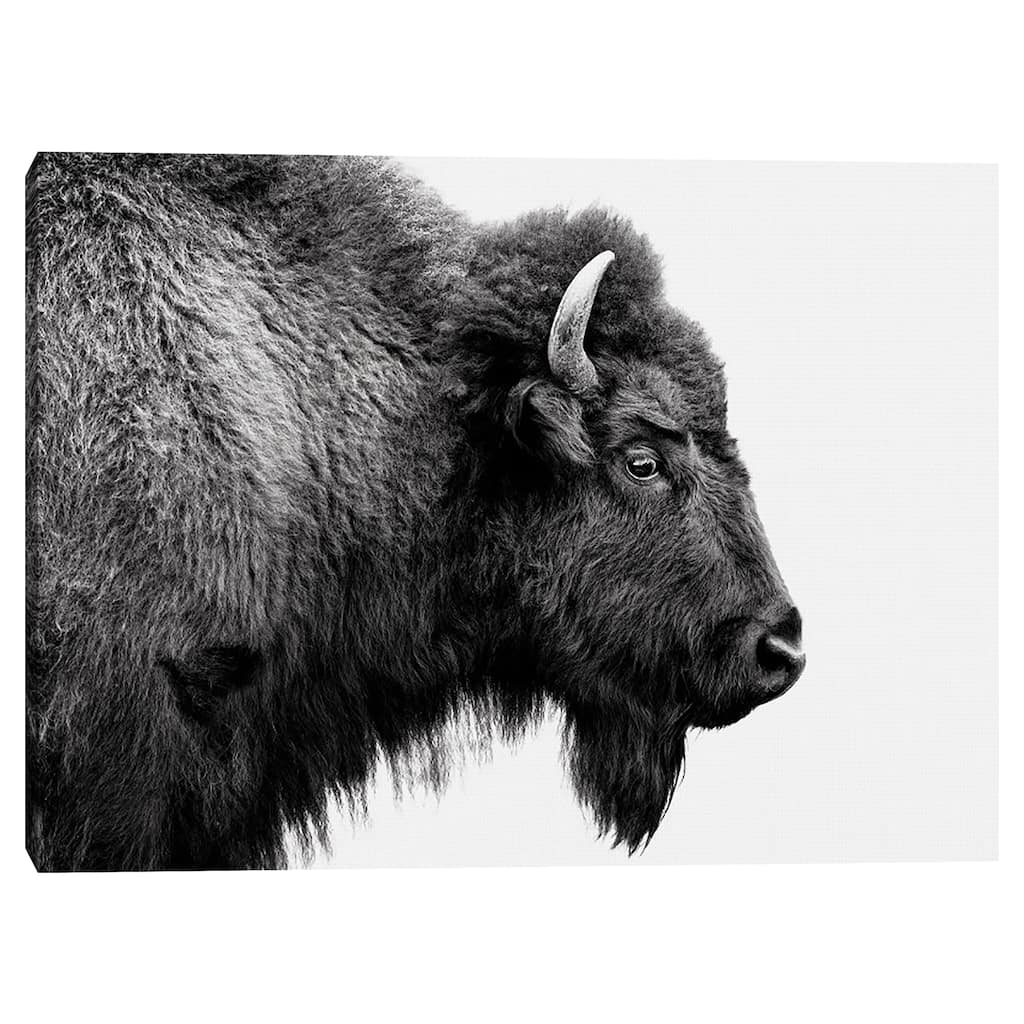 Buffalo Profile B&W by Belle Maison Canvas Art Print