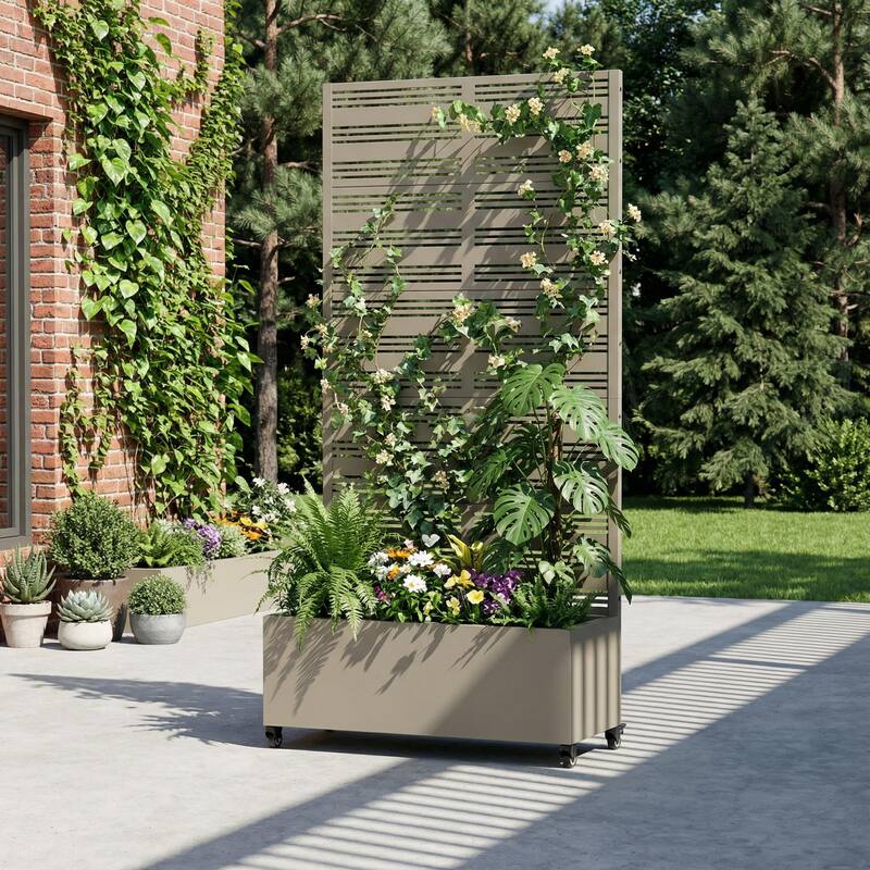 Outdoor Metal Galvanized Privacy Screen Planter Box with Trellis Lockable Wheels - 72"x35" - Olive Grey-Rectangle