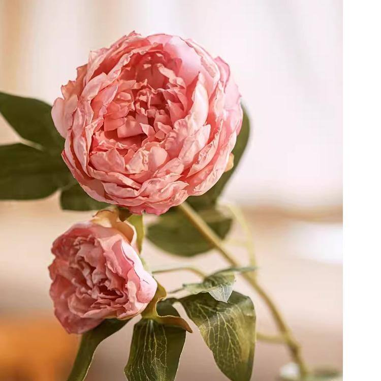 RusticReach Artificial Sophia 2-Head Peony Stem 20.8" Tall - Pink - [C]-Five Stems