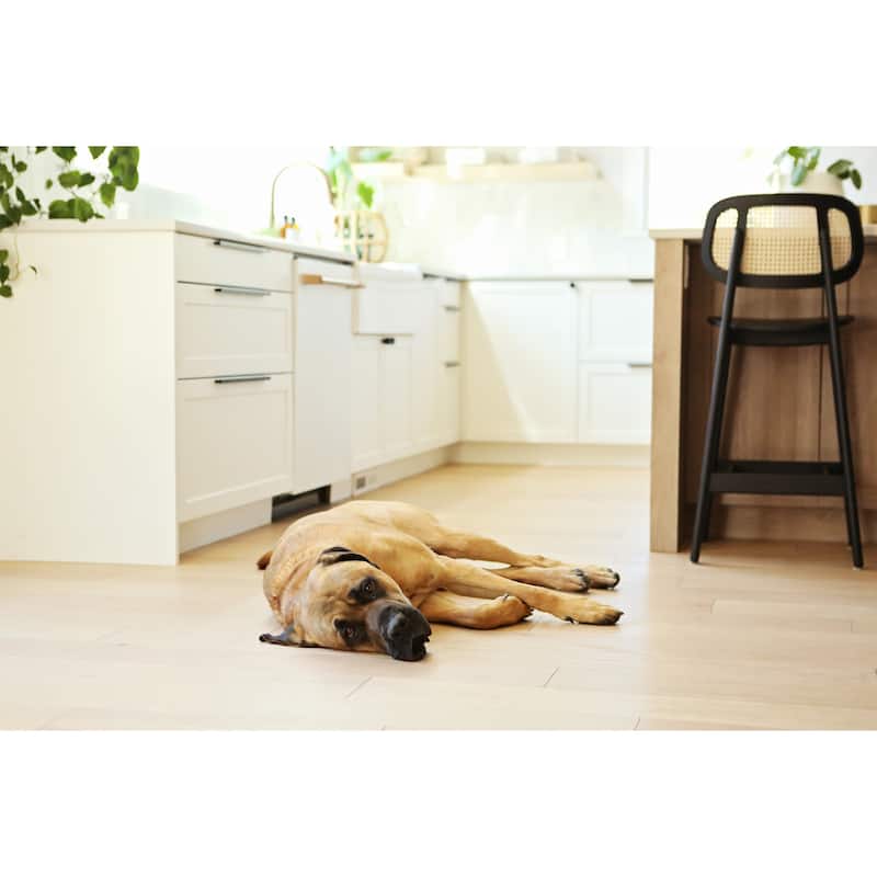 Austen Crisp White Fireclay 36" Double Bowl Farmhouse Apron Front Undermount Kitchen Sink and Drains