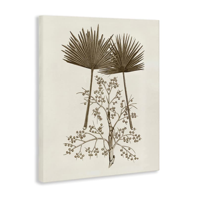 Stupell Palm Leaf & Olive Branches Canvas Wall Art Design By Phillipa Katz