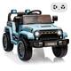 Option Blue