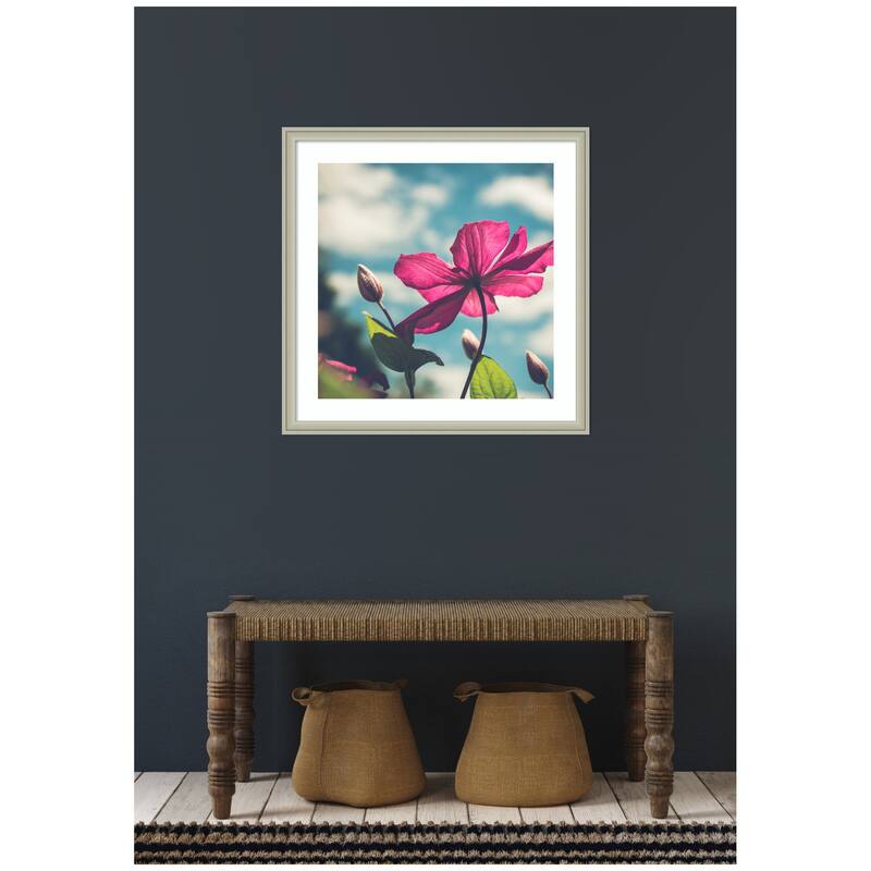 Kate and Laurel Framed Art Flower in the Sky by Stephanie Klatt