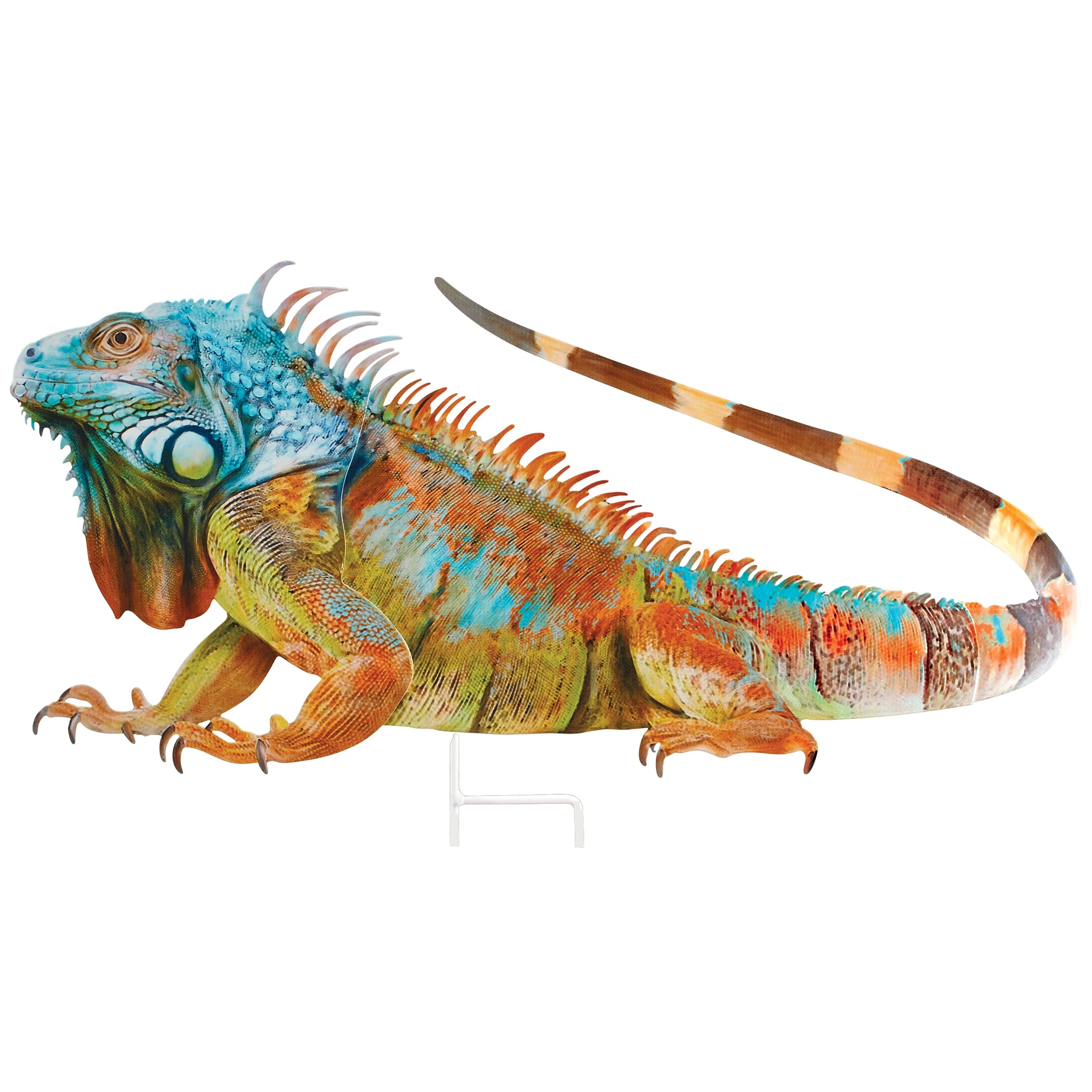 Bedding for iguana hotsell