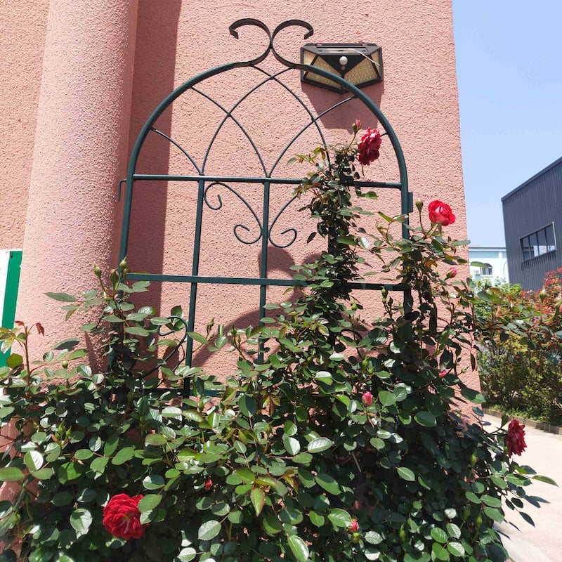 86.7'' x 19.7'' Garden Trellis for Garden Plants