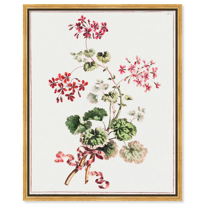 Carlet Variegated Geranium 1801 Canvas by Art Remedy - 36" x 45" - Gold