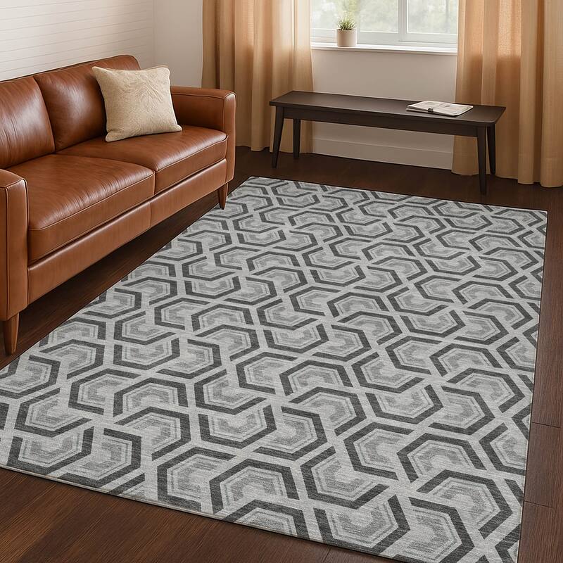 Machine Washable Indoor/ Outdoor Modern Zoa Chantille Rug