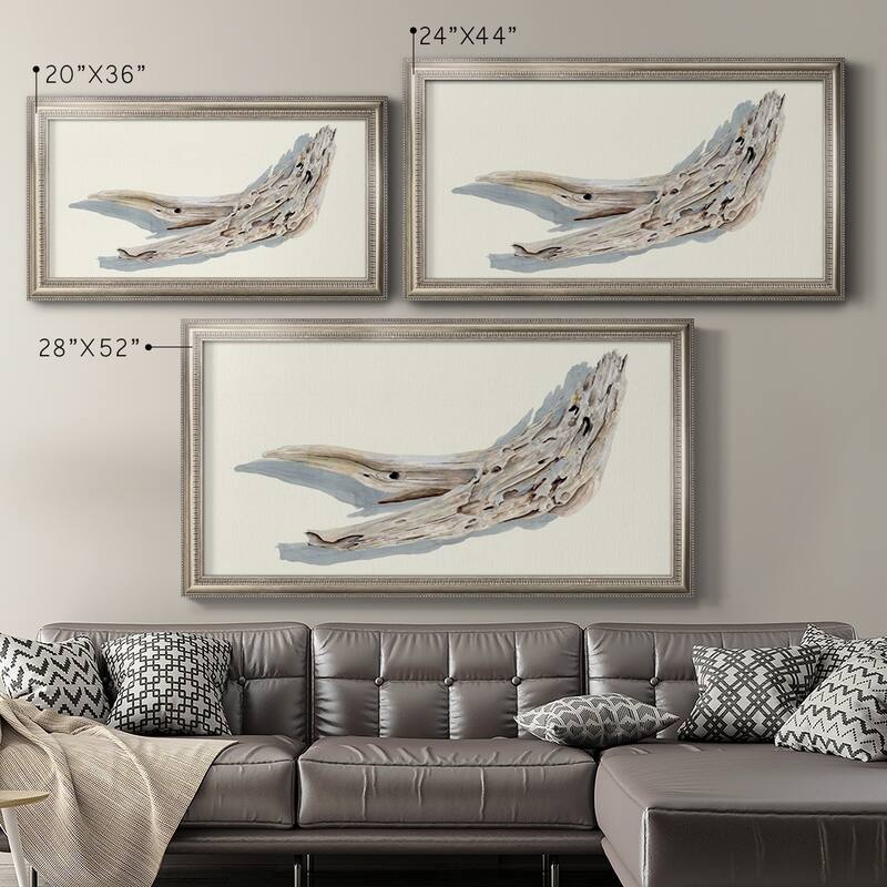 Driftwood Study III Premium Framed Canvas- Ready to Hang