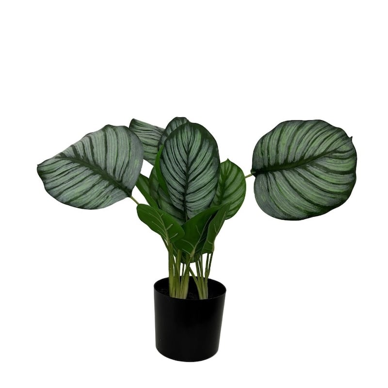Faux Marantaceae w/ Pot 21"H- A - GREEN