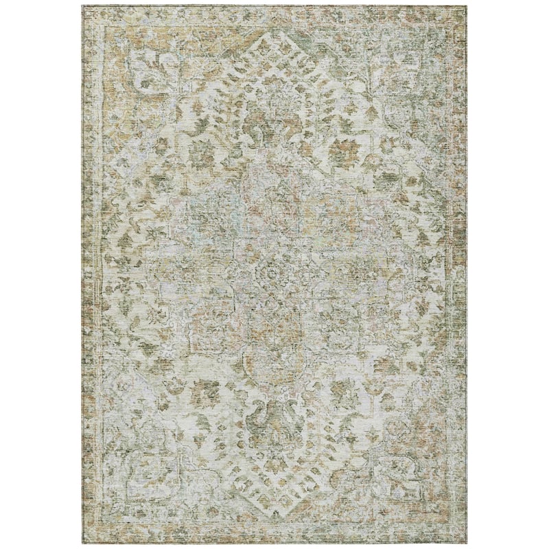 Machine Washable Indoor/Outdoor Traditional Chantille Rug