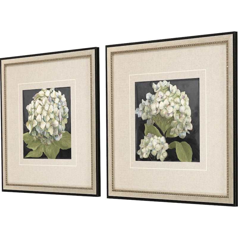Hydrangeas on Black S/2 Framed Art Giclee Under Glass