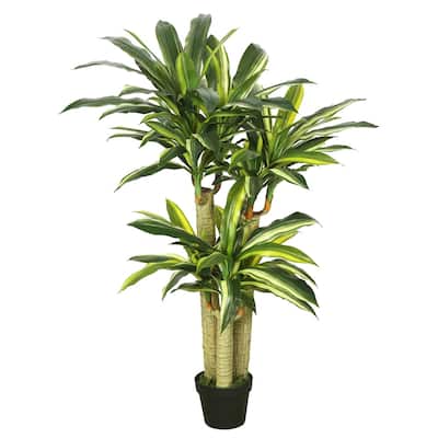 Vickerman 52" Green and Yellow Dracaena Everyday Tree - green / yellow