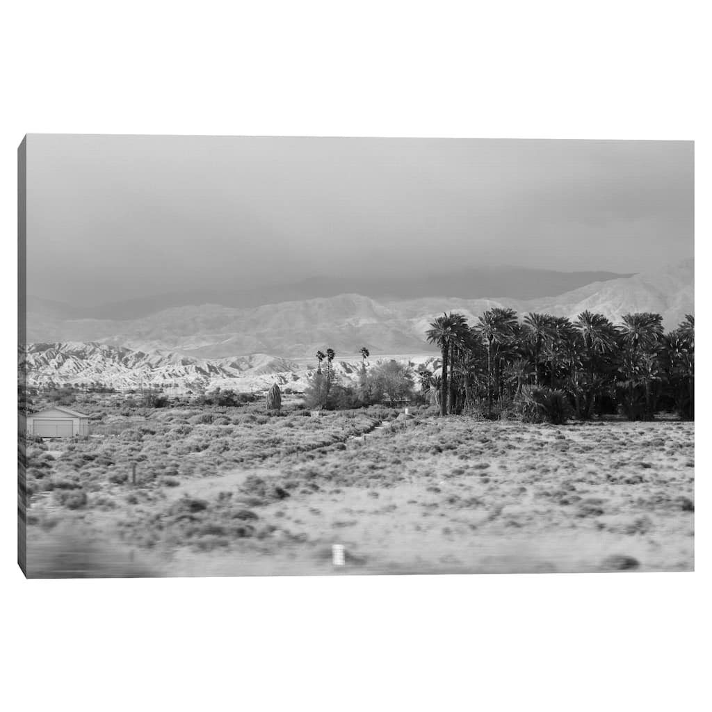 Desert Palms by Mark Timothy Canvas Art Print