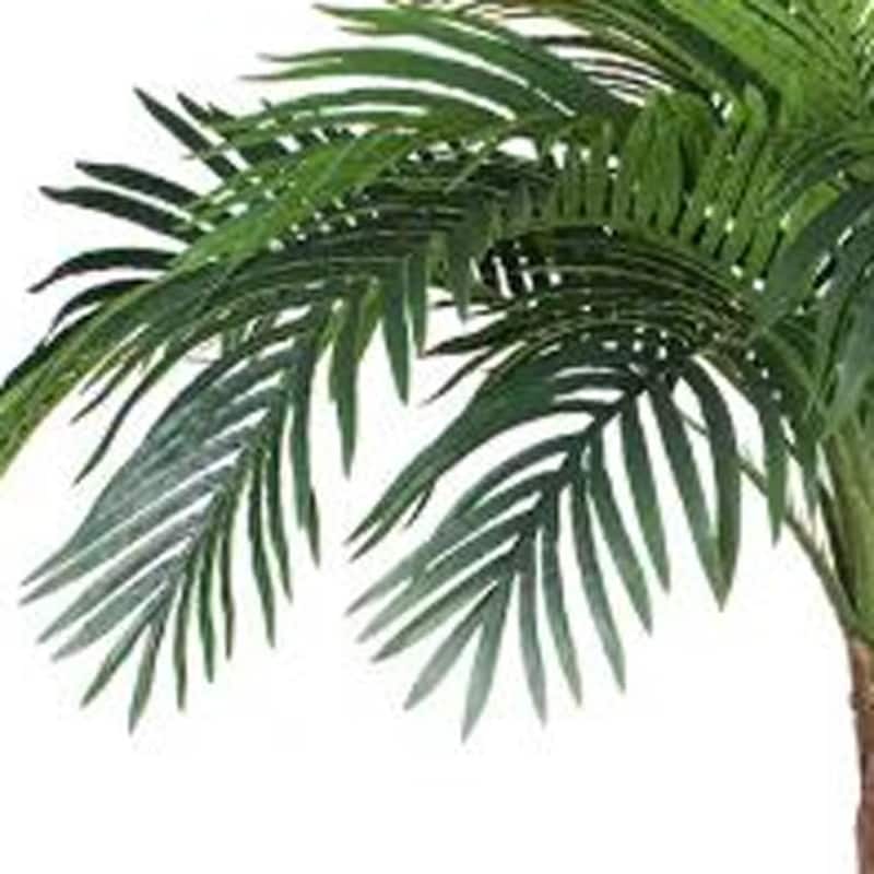 HomeRoots 63" Green Artificial Palm Tree in a Black Pot - 6.69 in. x 62.99 in. x 6.69 in.