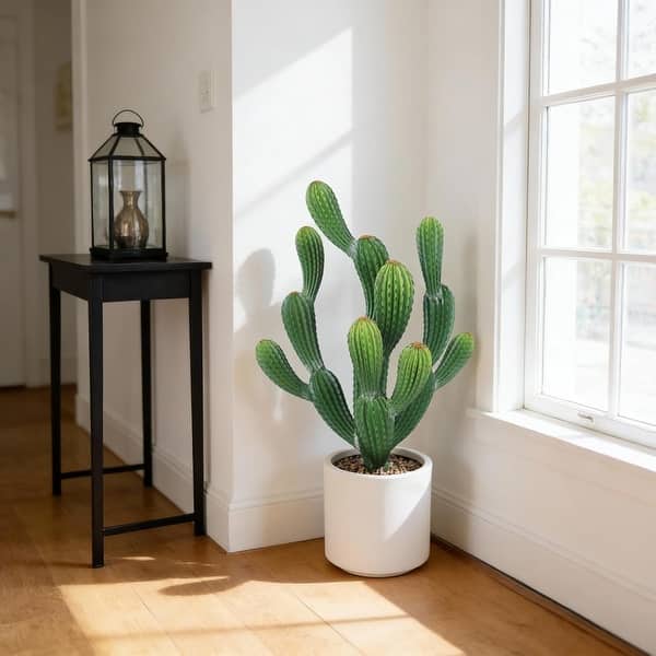 Tall Artificial Cactus Plant in Planter - Green - On Sale - Bed Bath &  Beyond - 43978645