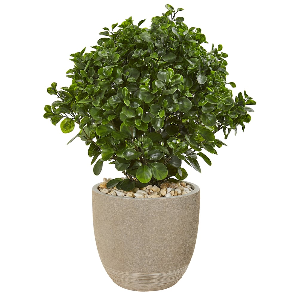 Artificial Peperomia Plant with Planter - 30 Inch Indoor Outdoor Fake Tree - Realistic Faux Plant Décor - Green