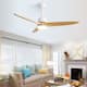Option 56" Ceiling Fan with Light