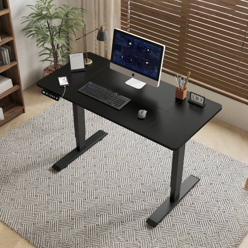 Rossetta 55" Electric Height Adjustable Standing Desk with Double Beam Single Motor