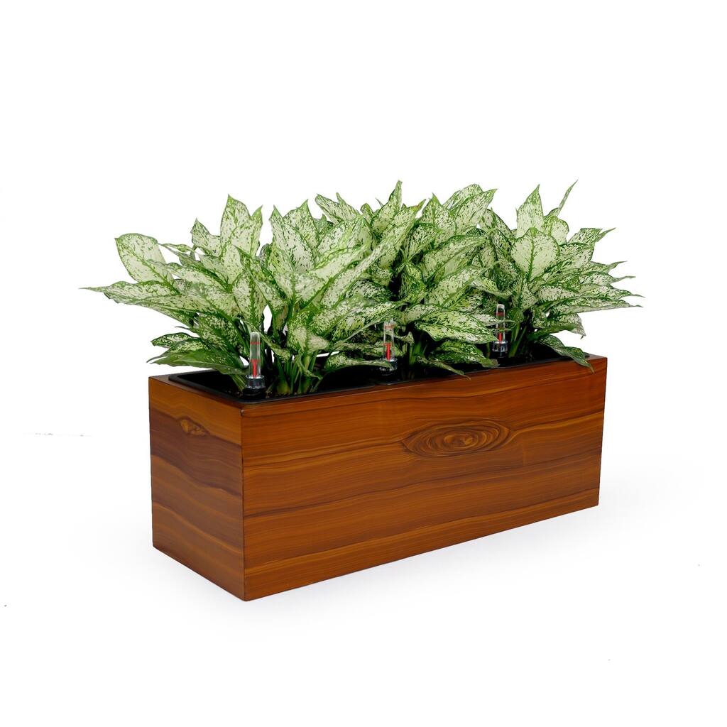 DTY Signature 3-Liner Self-watering Rectangle Planter Box