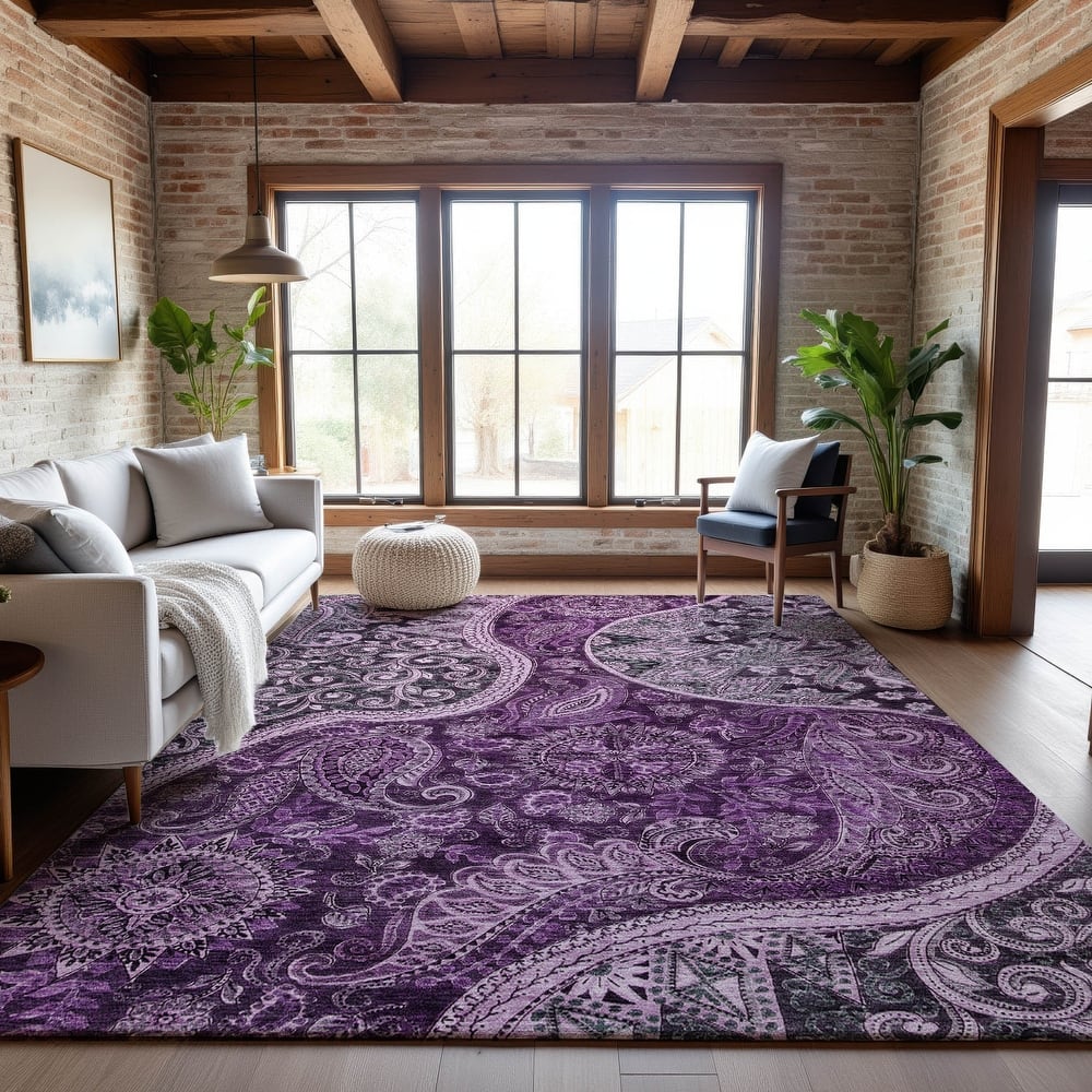 Premium Washable Super Soft Modern Paisley Mayfield Rug