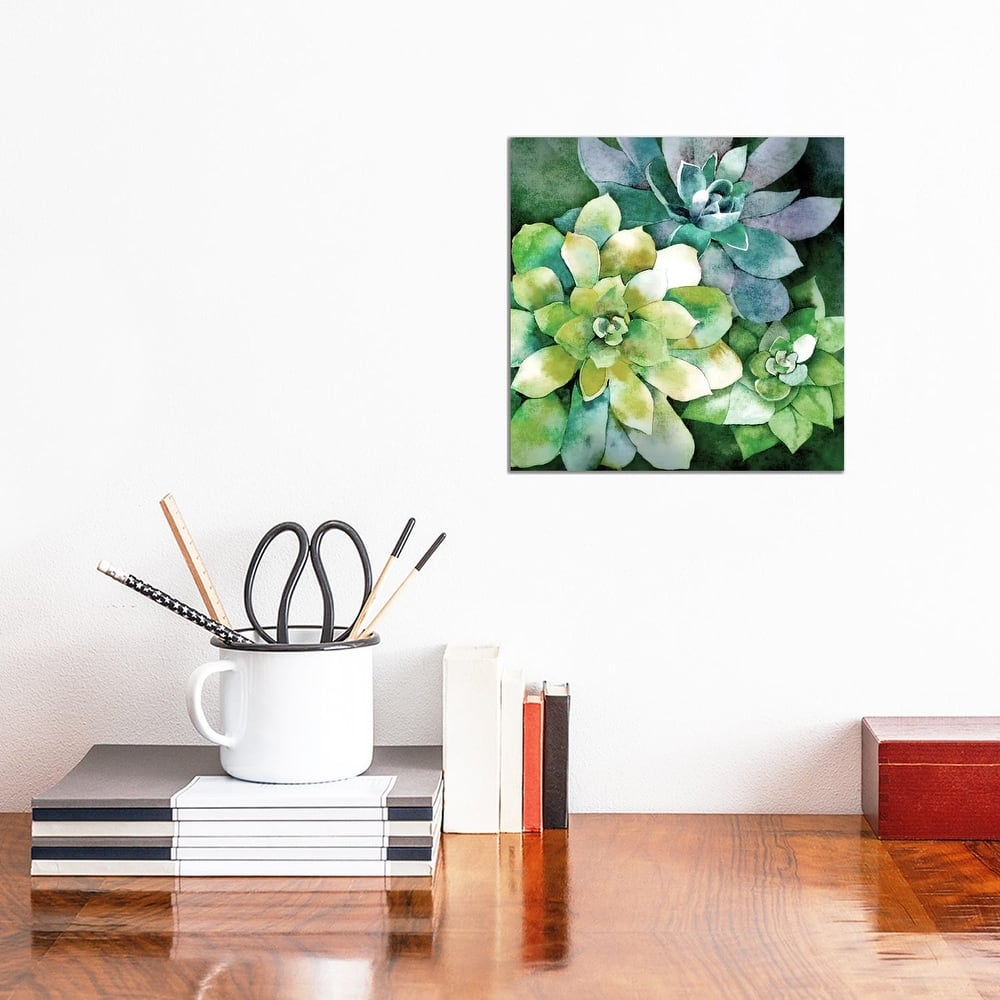 iCanvas "Summer Succulents" by Conrad Knutsen Canvas Print