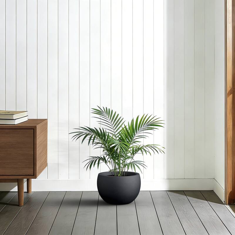 Concrete Round Bowl Planter with Drainage Hole(Upgraded Interior)