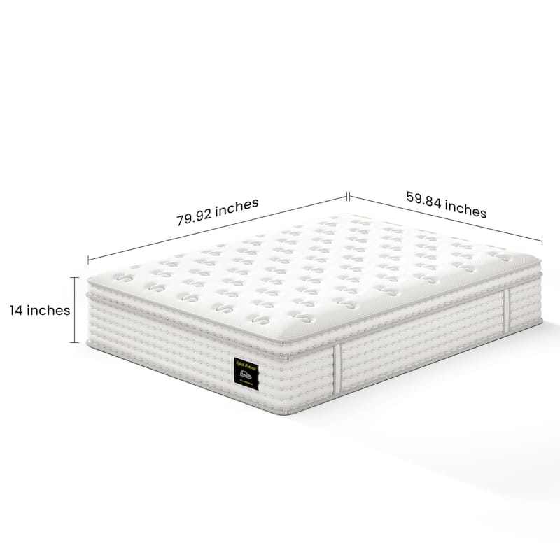 Roomfitters 14 Inch Queen/King Hybrid Mattress, Memory Foam and Pocket Spring Bed for Pressure Relief, Fiberglass Free, White