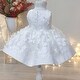 preview thumbnail 7 of 5, Special Occasion Dress with Flowers on Tulle and Skirt for Toddler