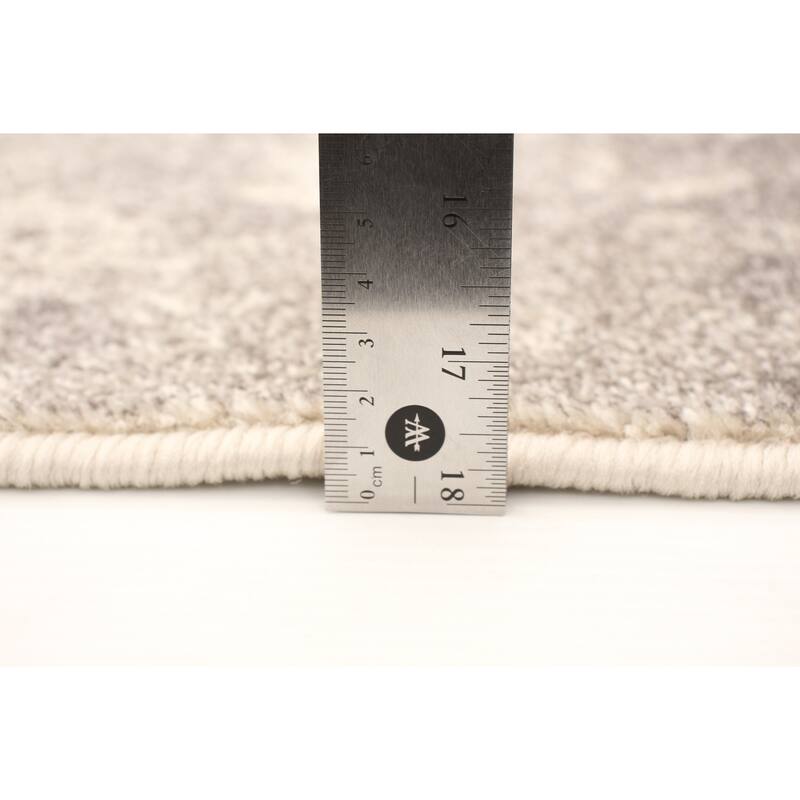 ECARPETGALLERY Remi Transitional Rug