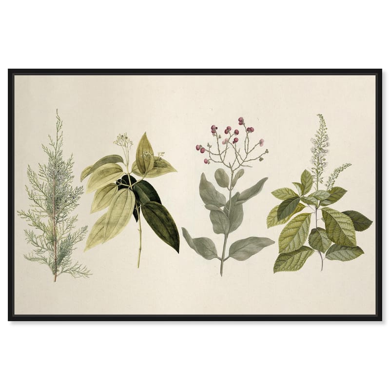 Branch Selection Canvas by Art Remedy - Black - 45" x 30"