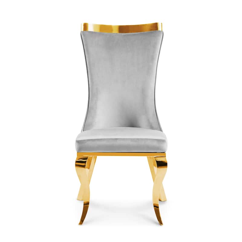 Furniture of America Thaddeus Glam Velvet High Back Side Chair (Set of 2)