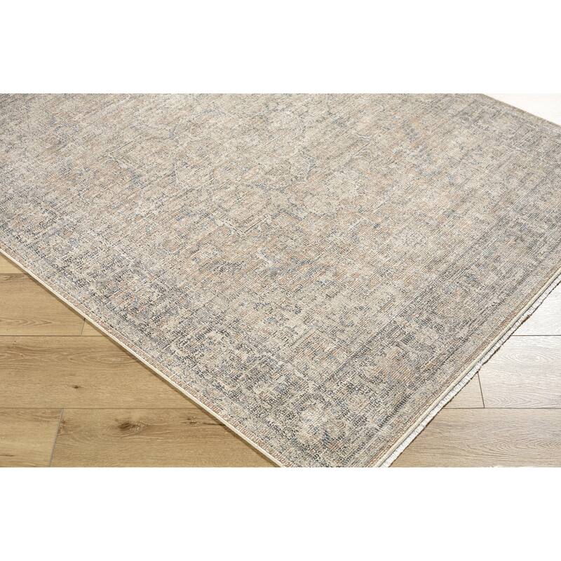 Galey Alix x Livabliss Maria Elena III Vintage Medallion Area Rug