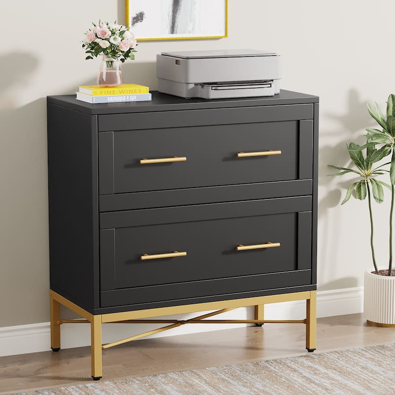2 Drawer Lateral Filing Cabinet, Modern File Cabinet Printer Stand, Large Storage Cabinets for Letter/Legal/A4 Size, White - Black