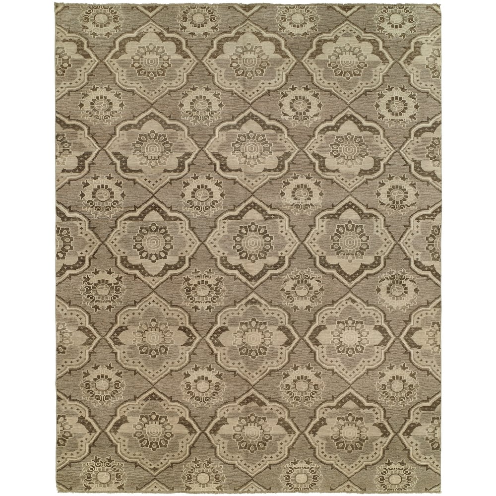Transitional Multi-Colored Hand-Knotted Wool Area Rug