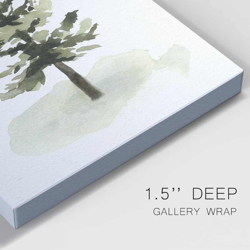 Watercolor Pine II Premium Gallery Wrapped Canvas - Ready to Hang