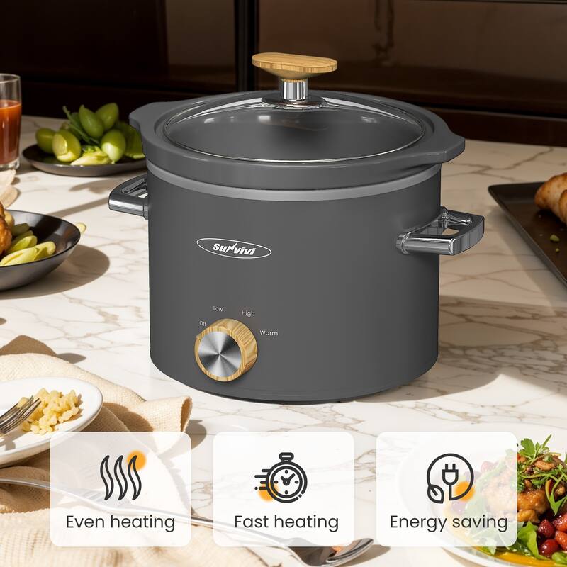 2 Quart Slow Cooker with 3 Heating Settings