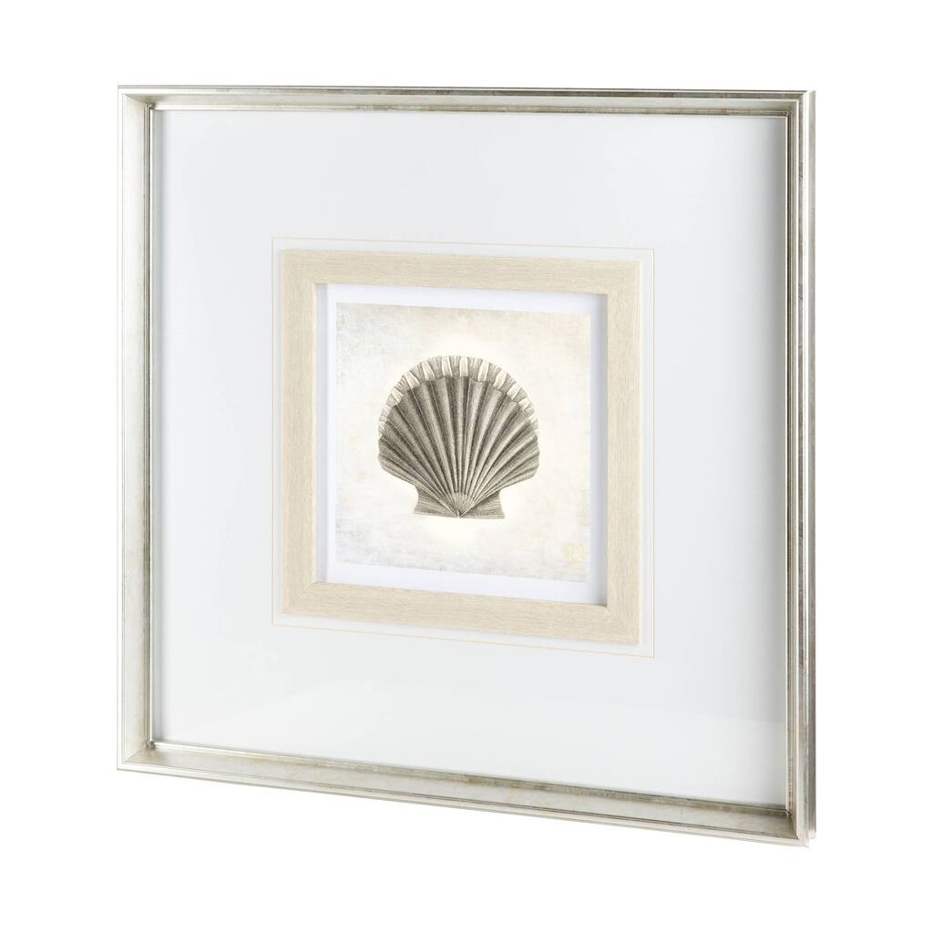 Vintage Scallop Shell Framed Art Print