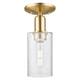 Option Champagne Bronze / Seedy