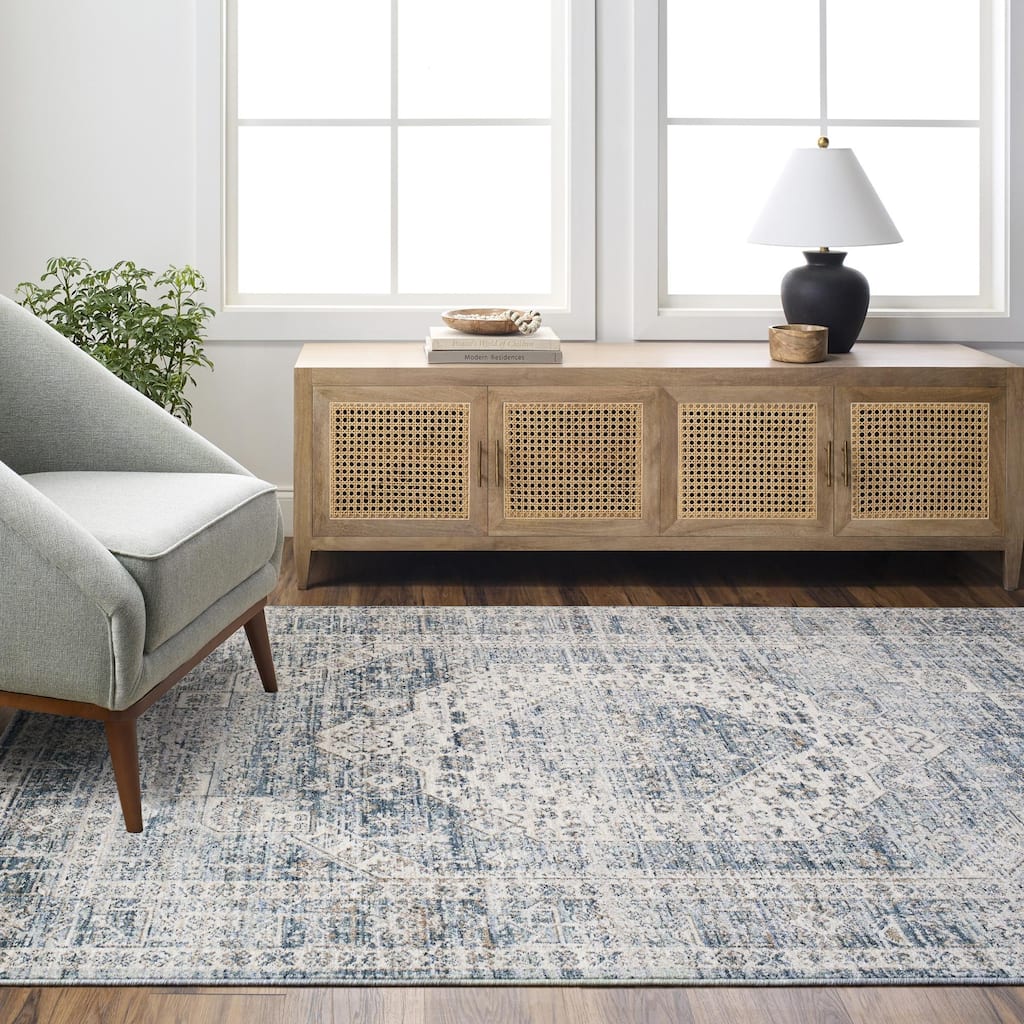 Cutler Traditional Medallion Area Rug