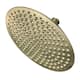 Option Antique Brass