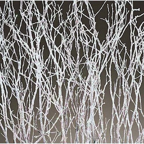 White Sparkle Single Bunch Large 4 oz About 24 branches 12-18in. tall. Opens flyout.