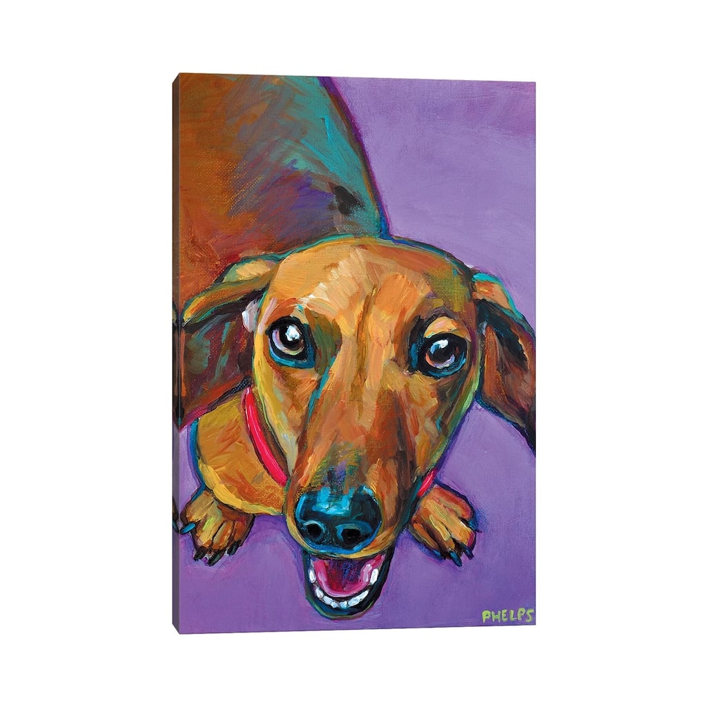 iCanvas "Lucy The Dachshund" by Robert Phelps Canvas Print