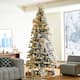 Option Slim Spruce