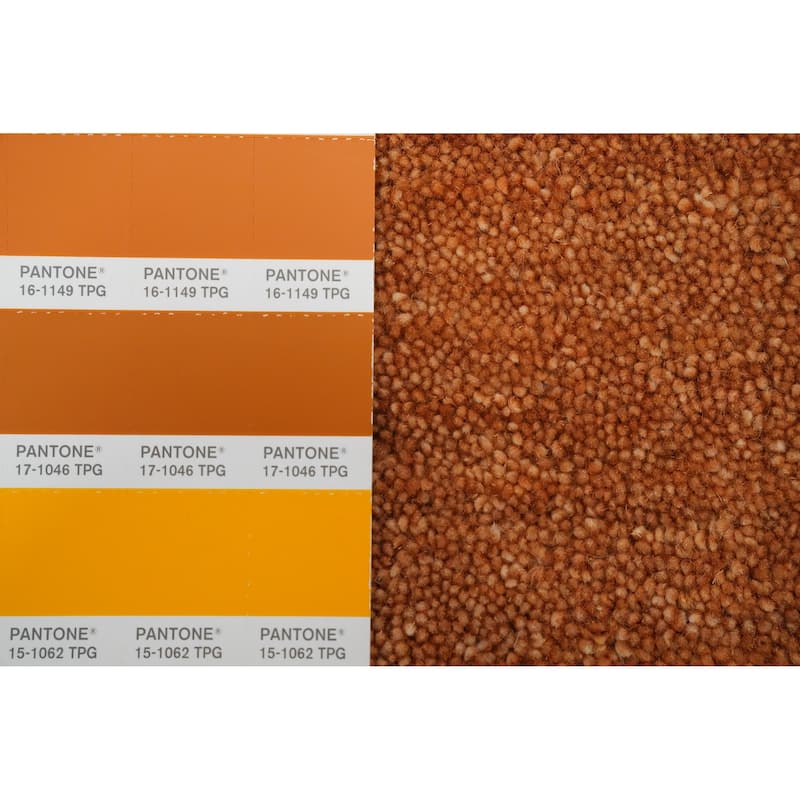 Hand Knotted Oriental 100% Wool Carpet Tribal Animal Pictorial Oranges & Rust Gabbeh Area Rug - 8' 11'' X 8' 11''