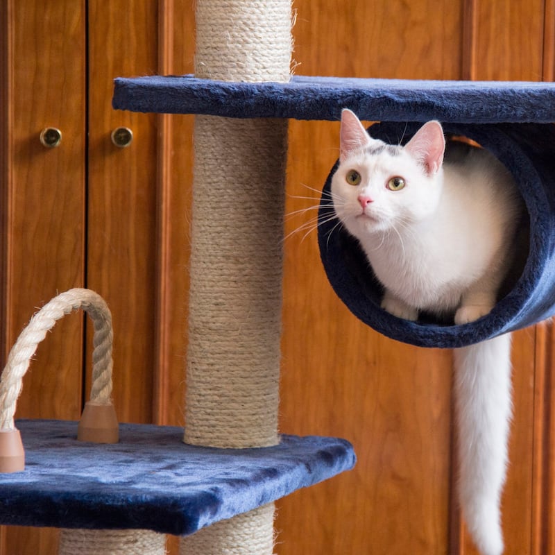 71" Navy Real Wood Cat Climbing Tower, Cat Scratching Furniture