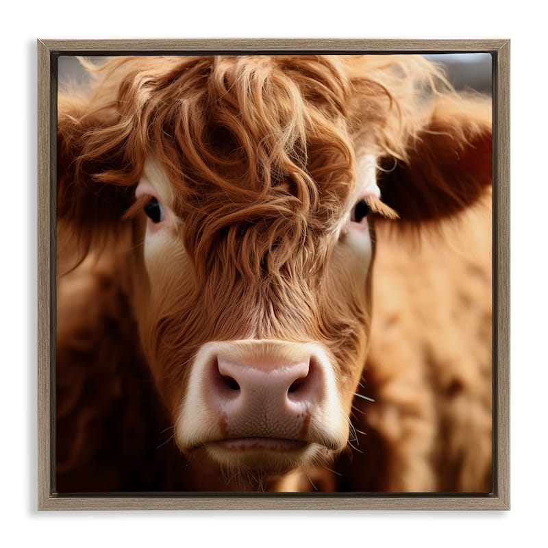 Stupell Close Up Furry Cow Portrait Framed Floater Canvas Wall Art Design By Heidi Kuntz - 25 x 25 - Brown