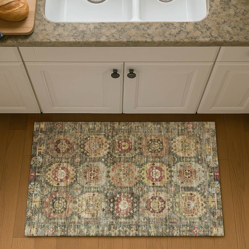 Premium Washable Super Soft Traditional Global Mayfield Rug